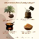 Palm Candy (Palm Crystals) - Crystals