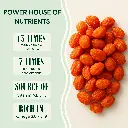 Himalayan Sea Buckthorn Dried Berries