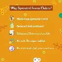 Jowar flkaes (1).webp