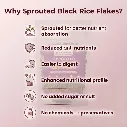 Black Rice Flakes (1).webp