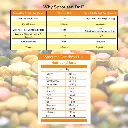 02.webp