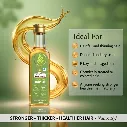 Moringa hair oil cold pressed.webp