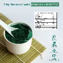 03.webp