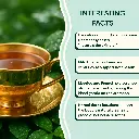 Detox Herbal Infusion Tea