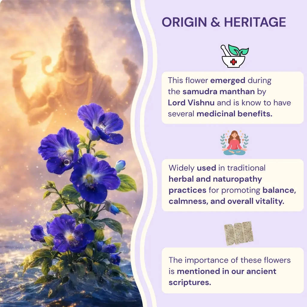 Butterfly Pea Flower Infusion