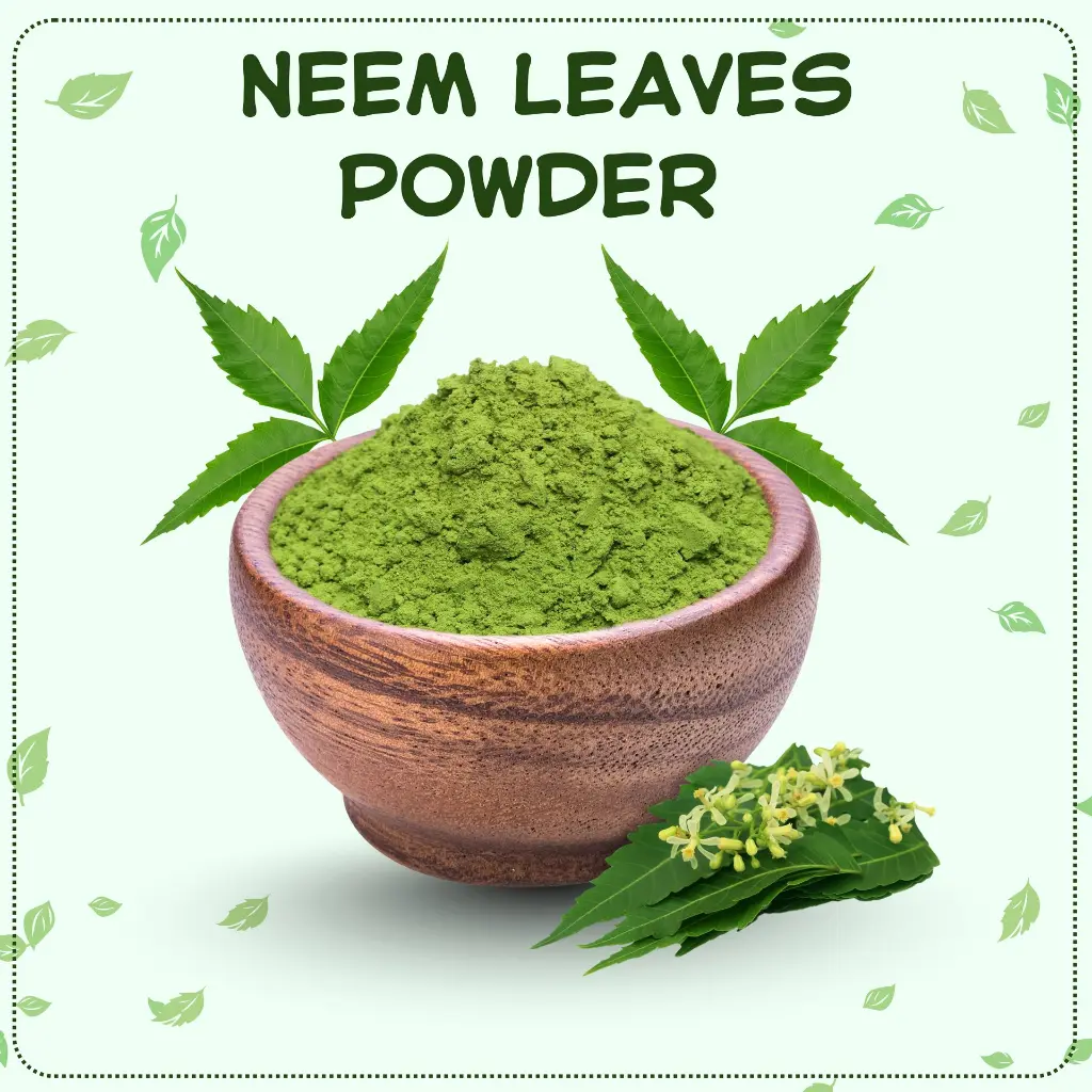 ⁠⁠⁠Neem leaves powder