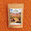 Himalayan Sea Buckthorn Dried Berries