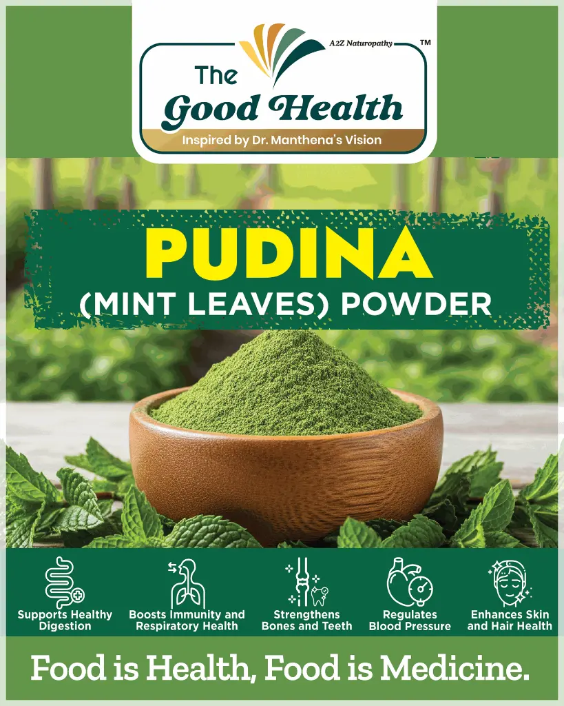 Pudina (Mint Leaves Powder)